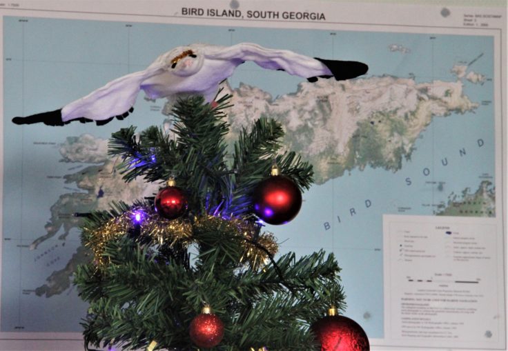 A Christmas tree with baubles on, and an albatross model on top